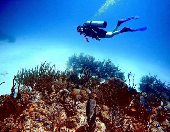 Buceo en la Isla Catalina