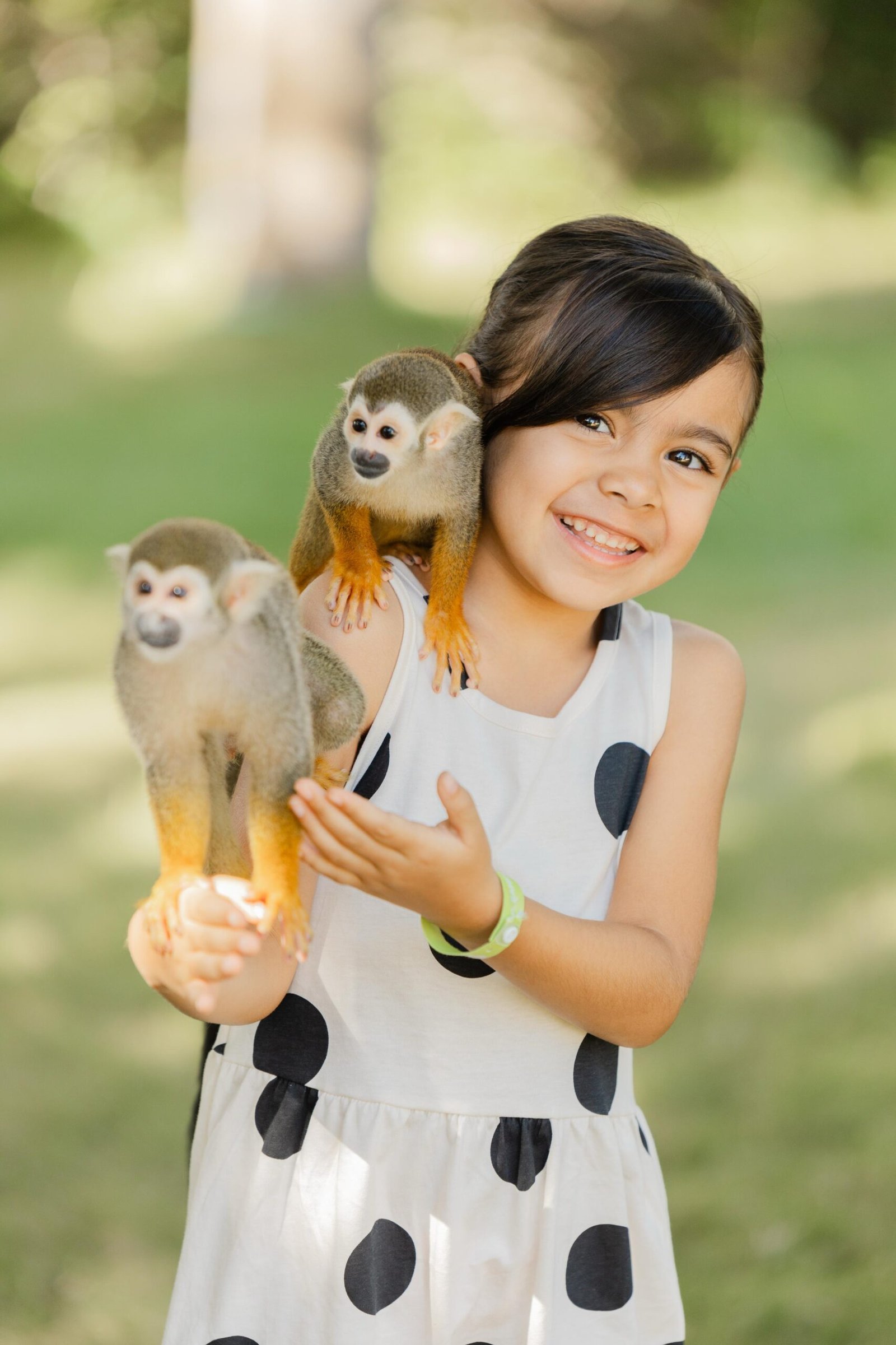 Monkey House